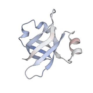 21638_6wdj_v_v1-2
Cryo-EM of elongating ribosome with EF-Tu*GTP elucidates tRNA proofreading (Non-cognate Structure V-A1)