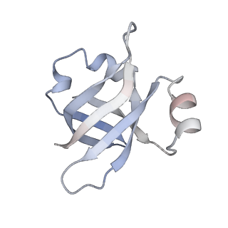 21638_6wdj_v_v1-3
Cryo-EM of elongating ribosome with EF-Tu*GTP elucidates tRNA proofreading (Non-cognate Structure V-A1)