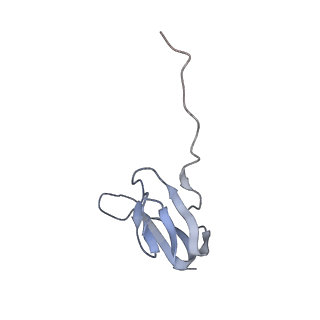 21638_6wdj_w_v1-2
Cryo-EM of elongating ribosome with EF-Tu*GTP elucidates tRNA proofreading (Non-cognate Structure V-A1)