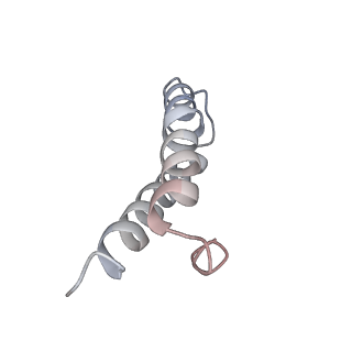 21638_6wdj_y_v1-2
Cryo-EM of elongating ribosome with EF-Tu*GTP elucidates tRNA proofreading (Non-cognate Structure V-A1)