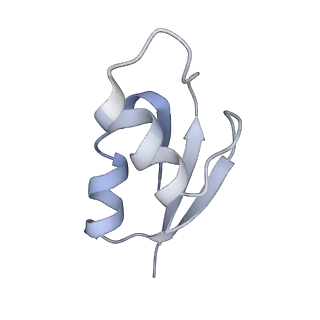 21638_6wdj_z_v1-2
Cryo-EM of elongating ribosome with EF-Tu*GTP elucidates tRNA proofreading (Non-cognate Structure V-A1)