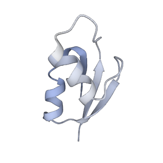 21638_6wdj_z_v1-3
Cryo-EM of elongating ribosome with EF-Tu*GTP elucidates tRNA proofreading (Non-cognate Structure V-A1)