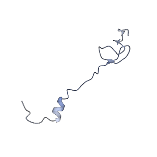 21639_6wdk_B_v1-3
Cryo-EM of elongating ribosome with EF-Tu*GTP elucidates tRNA proofreading (Non-cognate Structure V-A2)