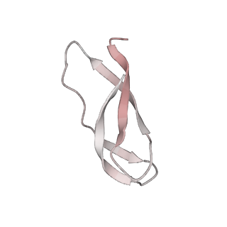 21639_6wdk_C_v1-3
Cryo-EM of elongating ribosome with EF-Tu*GTP elucidates tRNA proofreading (Non-cognate Structure V-A2)