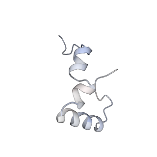 21639_6wdk_D_v1-2
Cryo-EM of elongating ribosome with EF-Tu*GTP elucidates tRNA proofreading (Non-cognate Structure V-A2)