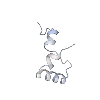 21639_6wdk_D_v1-3
Cryo-EM of elongating ribosome with EF-Tu*GTP elucidates tRNA proofreading (Non-cognate Structure V-A2)