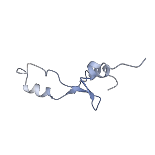 21639_6wdk_E_v1-2
Cryo-EM of elongating ribosome with EF-Tu*GTP elucidates tRNA proofreading (Non-cognate Structure V-A2)