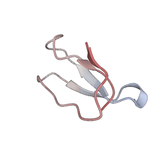 21639_6wdk_F_v1-3
Cryo-EM of elongating ribosome with EF-Tu*GTP elucidates tRNA proofreading (Non-cognate Structure V-A2)