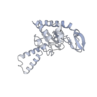 21639_6wdk_G_v1-2
Cryo-EM of elongating ribosome with EF-Tu*GTP elucidates tRNA proofreading (Non-cognate Structure V-A2)