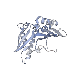 21639_6wdk_H_v1-2
Cryo-EM of elongating ribosome with EF-Tu*GTP elucidates tRNA proofreading (Non-cognate Structure V-A2)