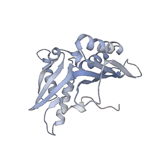 21639_6wdk_H_v1-3
Cryo-EM of elongating ribosome with EF-Tu*GTP elucidates tRNA proofreading (Non-cognate Structure V-A2)