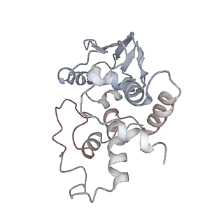 21639_6wdk_I_v1-3
Cryo-EM of elongating ribosome with EF-Tu*GTP elucidates tRNA proofreading (Non-cognate Structure V-A2)