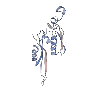 21639_6wdk_J_v1-3
Cryo-EM of elongating ribosome with EF-Tu*GTP elucidates tRNA proofreading (Non-cognate Structure V-A2)