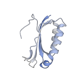21639_6wdk_K_v1-2
Cryo-EM of elongating ribosome with EF-Tu*GTP elucidates tRNA proofreading (Non-cognate Structure V-A2)