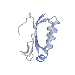 21639_6wdk_K_v1-3
Cryo-EM of elongating ribosome with EF-Tu*GTP elucidates tRNA proofreading (Non-cognate Structure V-A2)