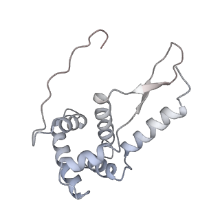 21639_6wdk_L_v1-2
Cryo-EM of elongating ribosome with EF-Tu*GTP elucidates tRNA proofreading (Non-cognate Structure V-A2)
