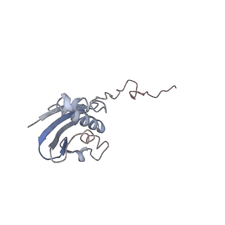 21639_6wdk_N_v1-2
Cryo-EM of elongating ribosome with EF-Tu*GTP elucidates tRNA proofreading (Non-cognate Structure V-A2)