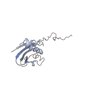 21639_6wdk_N_v1-3
Cryo-EM of elongating ribosome with EF-Tu*GTP elucidates tRNA proofreading (Non-cognate Structure V-A2)