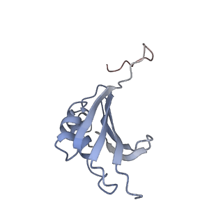 21639_6wdk_P_v1-2
Cryo-EM of elongating ribosome with EF-Tu*GTP elucidates tRNA proofreading (Non-cognate Structure V-A2)