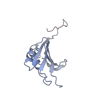 21639_6wdk_P_v1-3
Cryo-EM of elongating ribosome with EF-Tu*GTP elucidates tRNA proofreading (Non-cognate Structure V-A2)