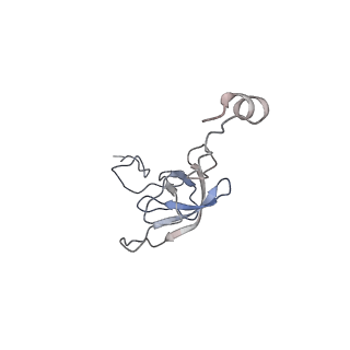 21639_6wdk_Q_v1-2
Cryo-EM of elongating ribosome with EF-Tu*GTP elucidates tRNA proofreading (Non-cognate Structure V-A2)