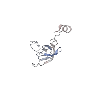 21639_6wdk_Q_v1-3
Cryo-EM of elongating ribosome with EF-Tu*GTP elucidates tRNA proofreading (Non-cognate Structure V-A2)