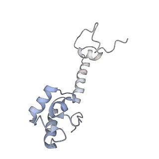 21639_6wdk_R_v1-2
Cryo-EM of elongating ribosome with EF-Tu*GTP elucidates tRNA proofreading (Non-cognate Structure V-A2)