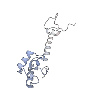 21639_6wdk_R_v1-3
Cryo-EM of elongating ribosome with EF-Tu*GTP elucidates tRNA proofreading (Non-cognate Structure V-A2)
