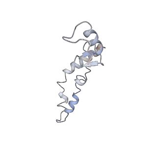 21639_6wdk_S_v1-3
Cryo-EM of elongating ribosome with EF-Tu*GTP elucidates tRNA proofreading (Non-cognate Structure V-A2)