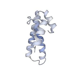 21639_6wdk_T_v1-3
Cryo-EM of elongating ribosome with EF-Tu*GTP elucidates tRNA proofreading (Non-cognate Structure V-A2)