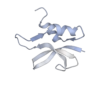 21639_6wdk_U_v1-2
Cryo-EM of elongating ribosome with EF-Tu*GTP elucidates tRNA proofreading (Non-cognate Structure V-A2)