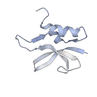 21639_6wdk_U_v1-3
Cryo-EM of elongating ribosome with EF-Tu*GTP elucidates tRNA proofreading (Non-cognate Structure V-A2)