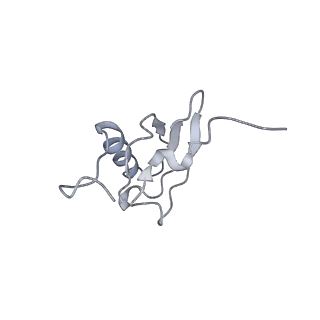 21639_6wdk_X_v1-2
Cryo-EM of elongating ribosome with EF-Tu*GTP elucidates tRNA proofreading (Non-cognate Structure V-A2)