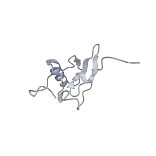 21639_6wdk_X_v1-3
Cryo-EM of elongating ribosome with EF-Tu*GTP elucidates tRNA proofreading (Non-cognate Structure V-A2)