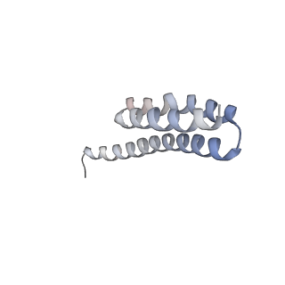 21639_6wdk_Y_v1-2
Cryo-EM of elongating ribosome with EF-Tu*GTP elucidates tRNA proofreading (Non-cognate Structure V-A2)