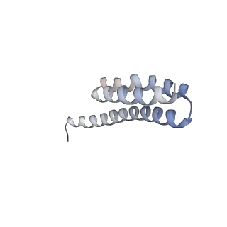 21639_6wdk_Y_v1-3
Cryo-EM of elongating ribosome with EF-Tu*GTP elucidates tRNA proofreading (Non-cognate Structure V-A2)