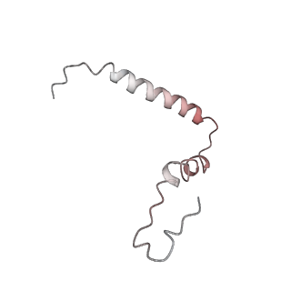 21639_6wdk_Z_v1-2
Cryo-EM of elongating ribosome with EF-Tu*GTP elucidates tRNA proofreading (Non-cognate Structure V-A2)