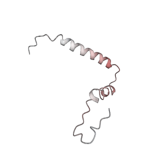 21639_6wdk_Z_v1-3
Cryo-EM of elongating ribosome with EF-Tu*GTP elucidates tRNA proofreading (Non-cognate Structure V-A2)
