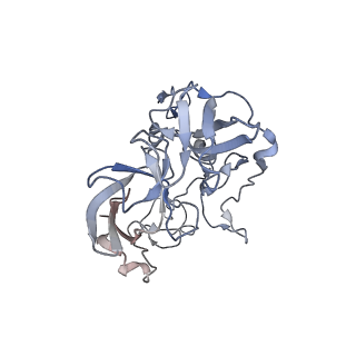 21639_6wdk_b_v1-2
Cryo-EM of elongating ribosome with EF-Tu*GTP elucidates tRNA proofreading (Non-cognate Structure V-A2)