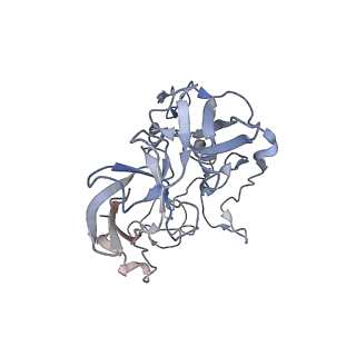 21639_6wdk_b_v1-3
Cryo-EM of elongating ribosome with EF-Tu*GTP elucidates tRNA proofreading (Non-cognate Structure V-A2)