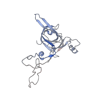 21639_6wdk_c_v1-2
Cryo-EM of elongating ribosome with EF-Tu*GTP elucidates tRNA proofreading (Non-cognate Structure V-A2)