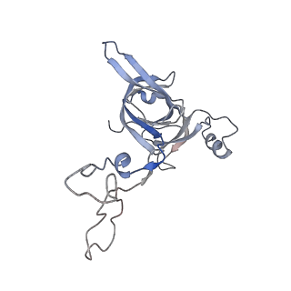 21639_6wdk_c_v1-3
Cryo-EM of elongating ribosome with EF-Tu*GTP elucidates tRNA proofreading (Non-cognate Structure V-A2)