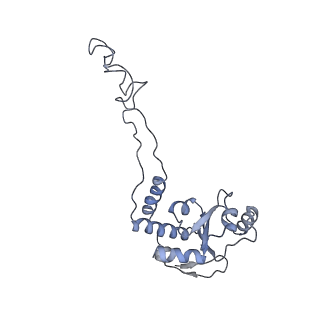 21639_6wdk_d_v1-2
Cryo-EM of elongating ribosome with EF-Tu*GTP elucidates tRNA proofreading (Non-cognate Structure V-A2)