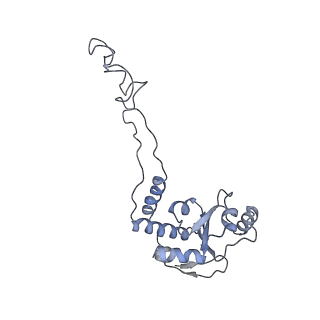 21639_6wdk_d_v1-3
Cryo-EM of elongating ribosome with EF-Tu*GTP elucidates tRNA proofreading (Non-cognate Structure V-A2)