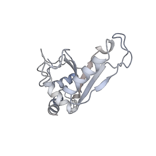 21639_6wdk_e_v1-2
Cryo-EM of elongating ribosome with EF-Tu*GTP elucidates tRNA proofreading (Non-cognate Structure V-A2)
