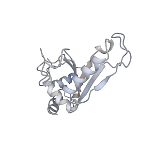 21639_6wdk_e_v1-3
Cryo-EM of elongating ribosome with EF-Tu*GTP elucidates tRNA proofreading (Non-cognate Structure V-A2)