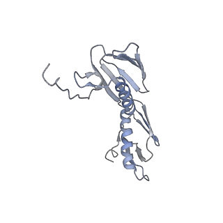 21639_6wdk_f_v1-3
Cryo-EM of elongating ribosome with EF-Tu*GTP elucidates tRNA proofreading (Non-cognate Structure V-A2)