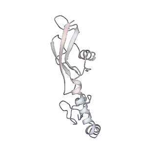 21639_6wdk_g_v1-3
Cryo-EM of elongating ribosome with EF-Tu*GTP elucidates tRNA proofreading (Non-cognate Structure V-A2)