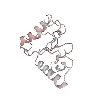 21639_6wdk_h_v1-3
Cryo-EM of elongating ribosome with EF-Tu*GTP elucidates tRNA proofreading (Non-cognate Structure V-A2)