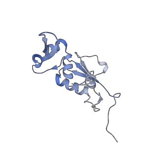 21639_6wdk_j_v1-2
Cryo-EM of elongating ribosome with EF-Tu*GTP elucidates tRNA proofreading (Non-cognate Structure V-A2)